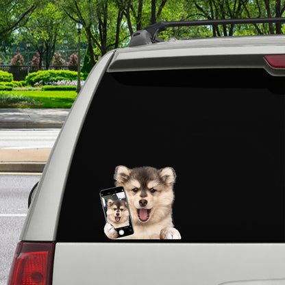 Do You Like My Selfie - Pomsky Car/ Door/ Fridge/ Laptop Sticker V1