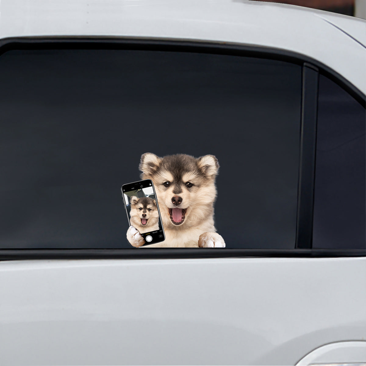 Do You Like My Selfie - Pomsky Car/ Door/ Fridge/ Laptop Sticker V1