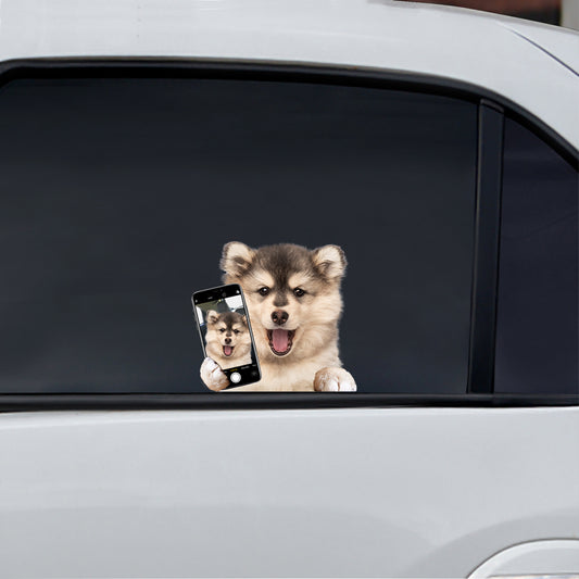 Do You Like My Selfie - Pomsky Car/ Door/ Fridge/ Laptop Sticker V1