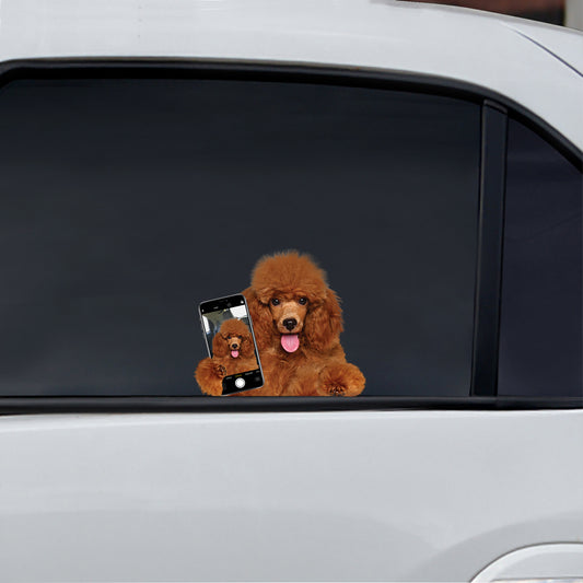 Do You Like My Selfie - Poodle Car/ Door/ Fridge/ Laptop Sticker V1