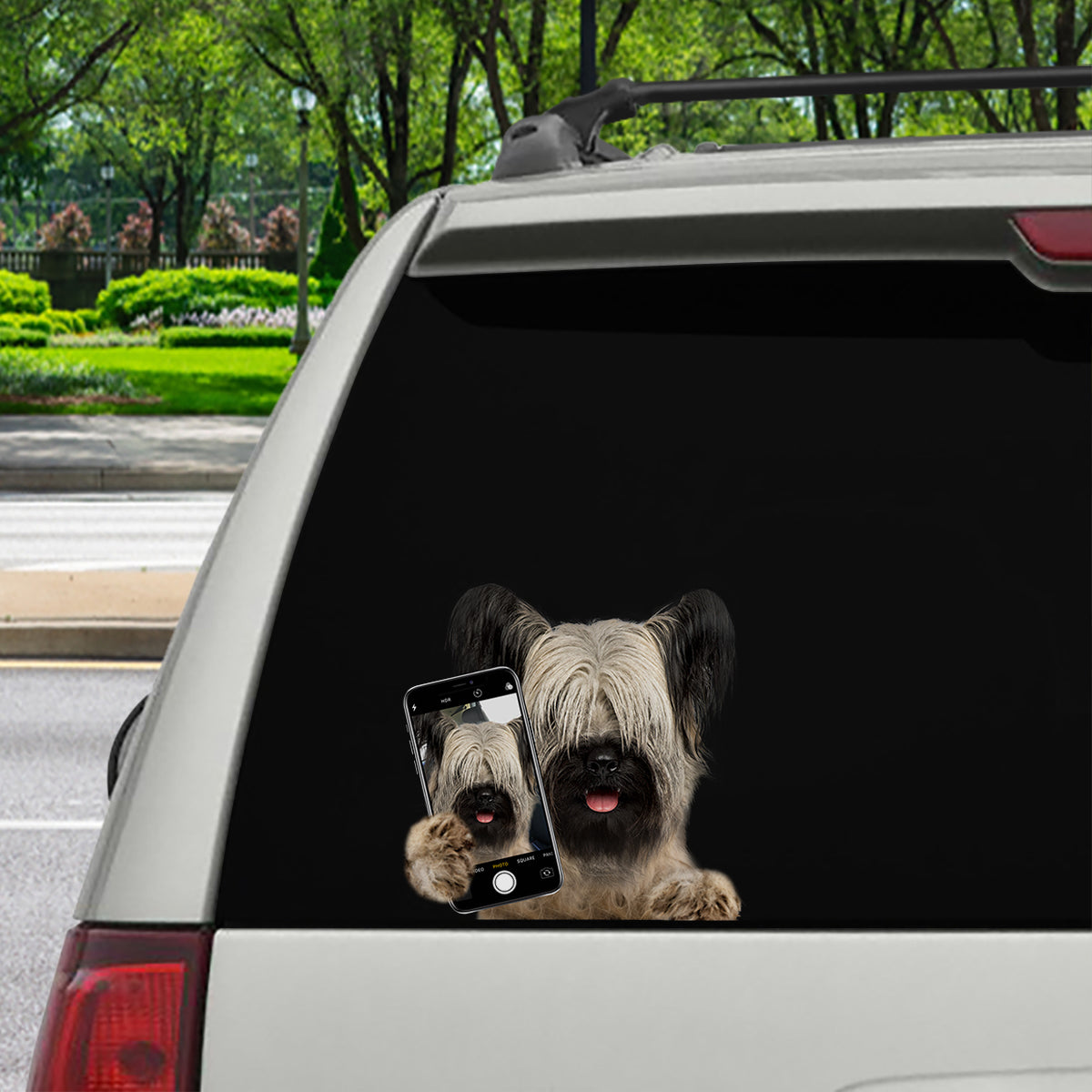 Aimez-vous mon selfie - Skye Terrier Autocollant de voiture/porte/réfrigérateur/ordinateur portable V1