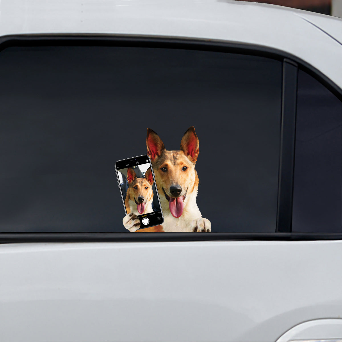 Do You Like My Selfie – Smooth Collie Auto-/Tür-/Kühlschrank-/Laptop-Aufkleber V1