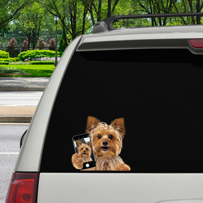 Do You Like My Selfie - Yorkshire Terrier Car/ Door/ Fridge/ Laptop Sticker V1