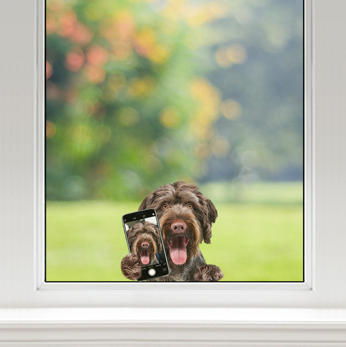 Do You Like My Selfie - German Wirehaired Pointer Car/ Door/ Fridge/ Laptop Sticker V1