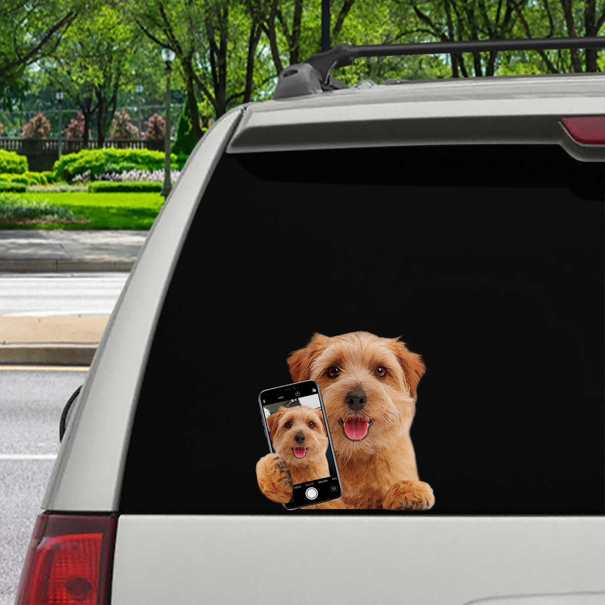 Do You Like My Selfie – Norwich Terrier Auto-/Tür-/Kühlschrank-/Laptop-Aufkleber V1