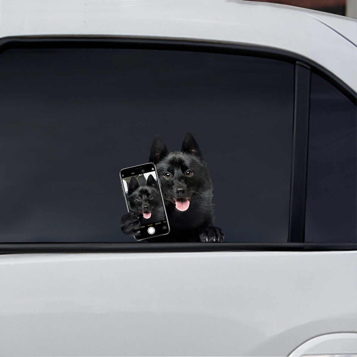 Aimez-vous mon selfie - Schipperke Autocollant de voiture/porte/réfrigérateur/ordinateur portable V1