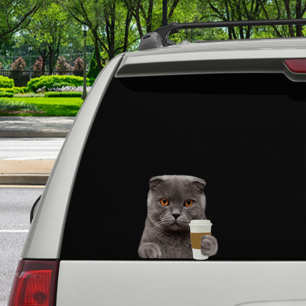 Bonjour - Scottish Fold Cat Car/ Porte/ Réfrigérateur/ Autocollant pour ordinateur portable V1
