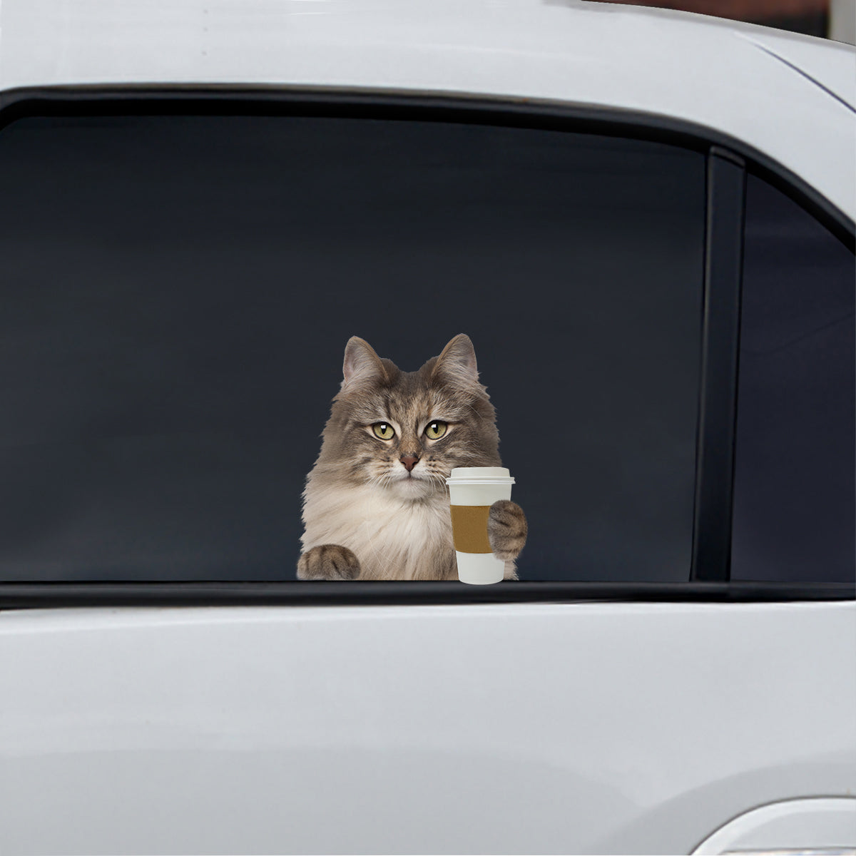 Good Morning - Siberian Cat Car/ Door/ Fridge/ Laptop Sticker V1