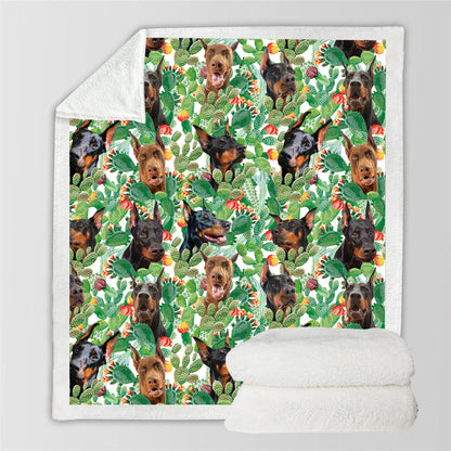 Doberman Pinscher - Couverture colorée V1