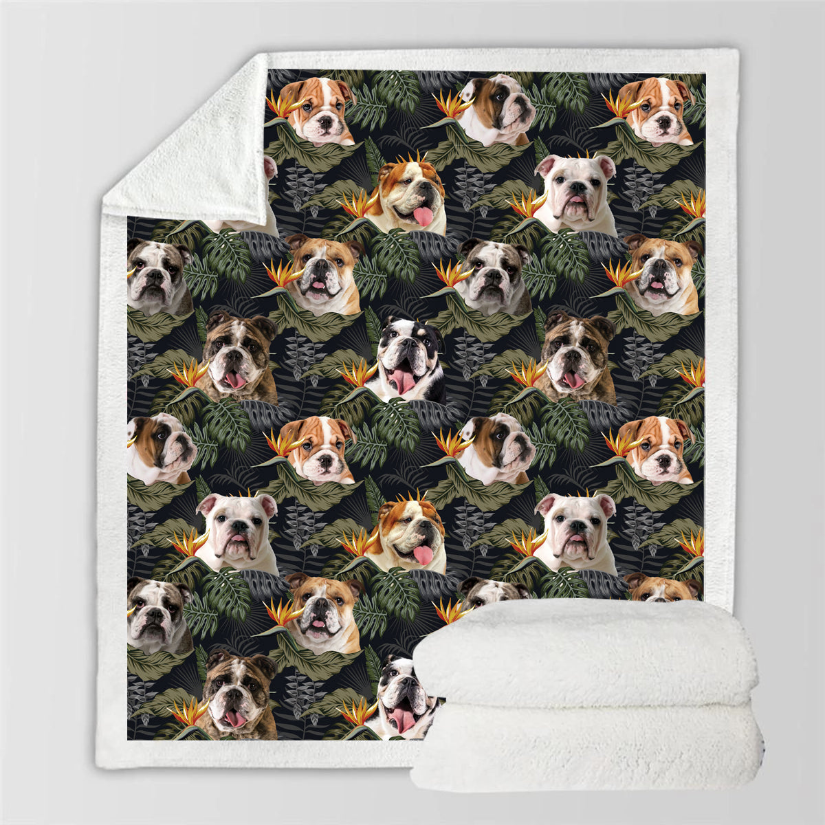 English Bulldog - Colorful Blanket V2