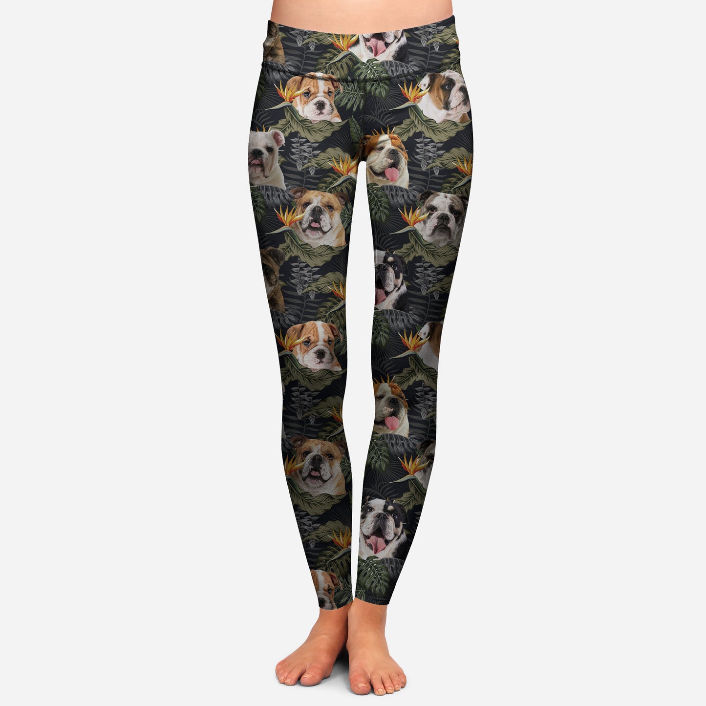 Englische Bulldogge - Bunte Leggings V2