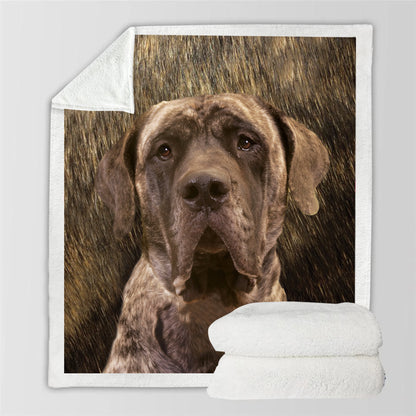 English Mastiff Blanket V3