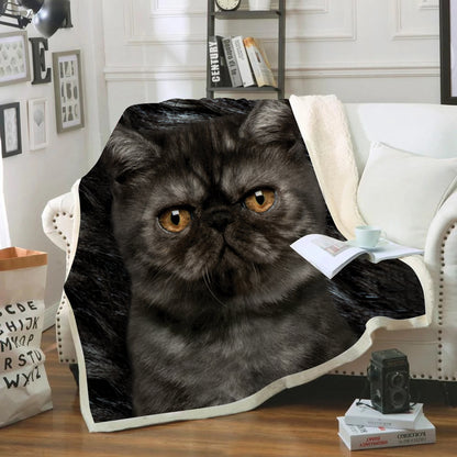 Exotic Shorthair Cat Blanket