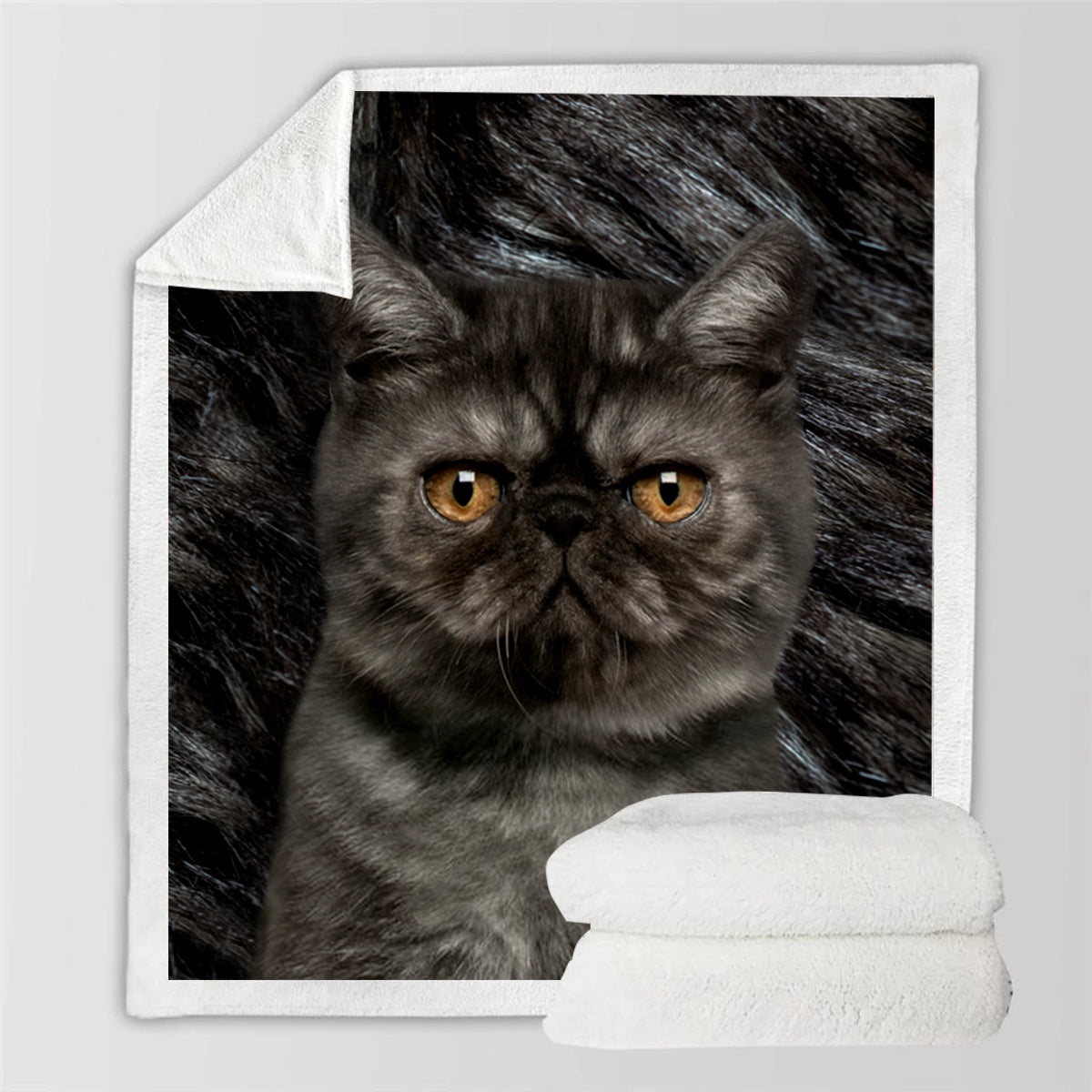 Exotic Shorthair Cat Blanket