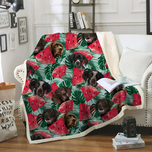 German Wirehaired Pointer - Colorful Blanket V1