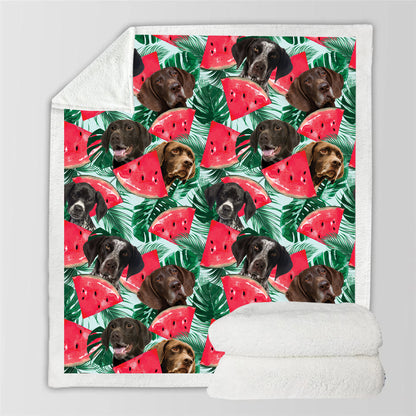 German Wirehaired Pointer - Colorful Blanket V1