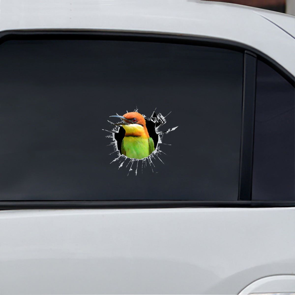 Get In - It's Time For Shopping - Bird Car / Door/ Fridge/ Laptop Sticker V1