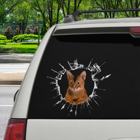 Get In - It's Time For Shopping - Abyssinian Cat Car/Door/ Fridge/ Laptop Sticker V1