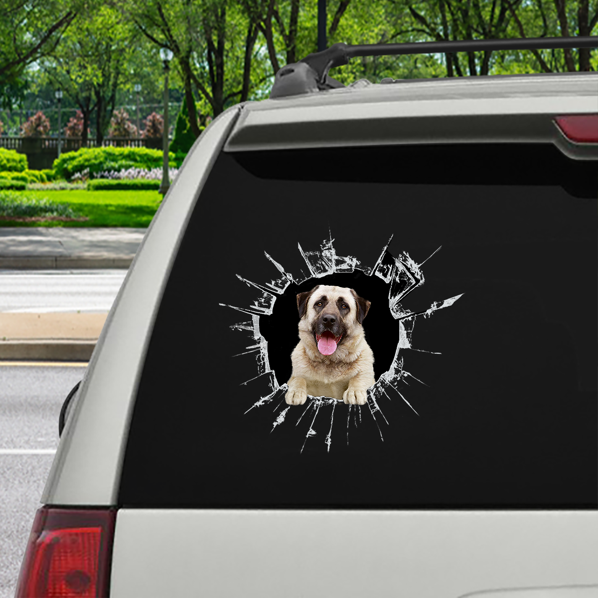 Get In - It's Time For Shopping - Anatolian Shepherd Car / Door/ Fridge/ Laptop Sticker V1