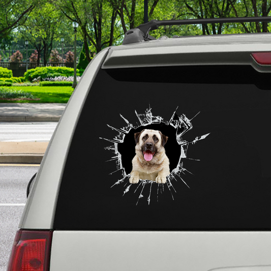 Steigen Sie ein – es ist Zeit zum Einkaufen – Aufkleber „Anatolischer Schäferhund“ für Auto/Tür/Kühlschrank/Laptop V1
