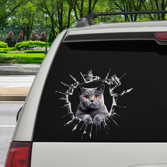 Entrez - Il est temps de faire du shopping - British Shorthair Cat Autocollant de voiture/porte/réfrigérateur/ordinateur portable V1