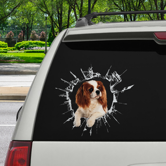 Get In - It's Time For Shopping - Cavalier King Charles Spaniel Car Sticker V1