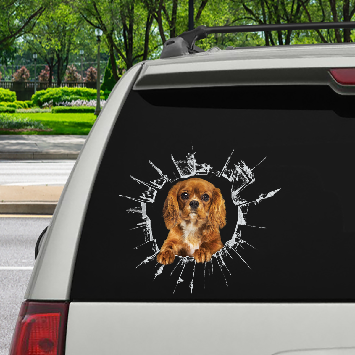 Steigen Sie ein – es ist Zeit zum Einkaufen – Cavalier King Charles Spaniel Auto-/Tür-/Kühlschrank-/Laptop-Aufkleber V3