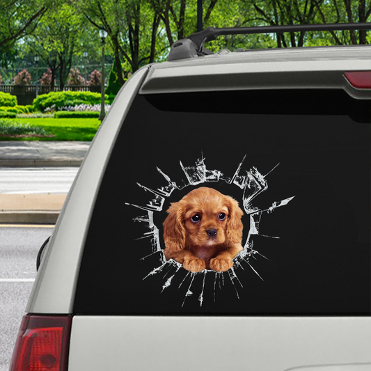 Get In - It's Time For Shopping - Cavalier King Charles Spaniel Car/ Door/ Fridge/ Laptop Sticker V5