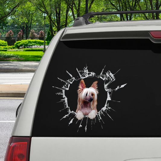 Get In - It's Time For Shopping - Chinese Crested Car Sticker V1