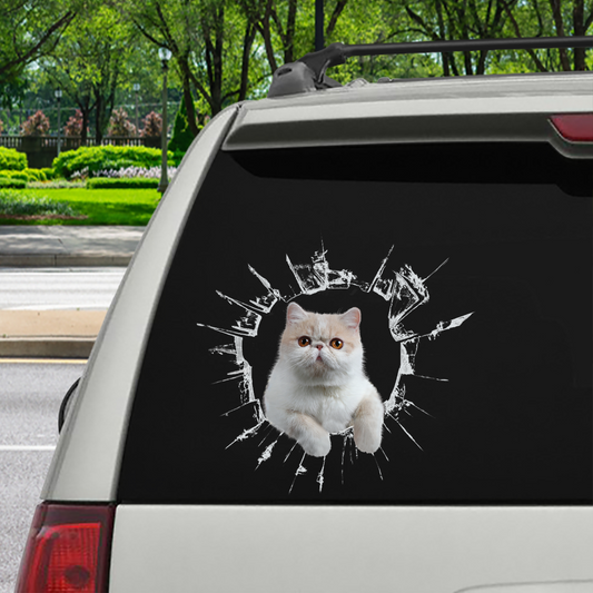 Entrez - Il est temps de faire du shopping - Autocollant de voiture chat exotique V1