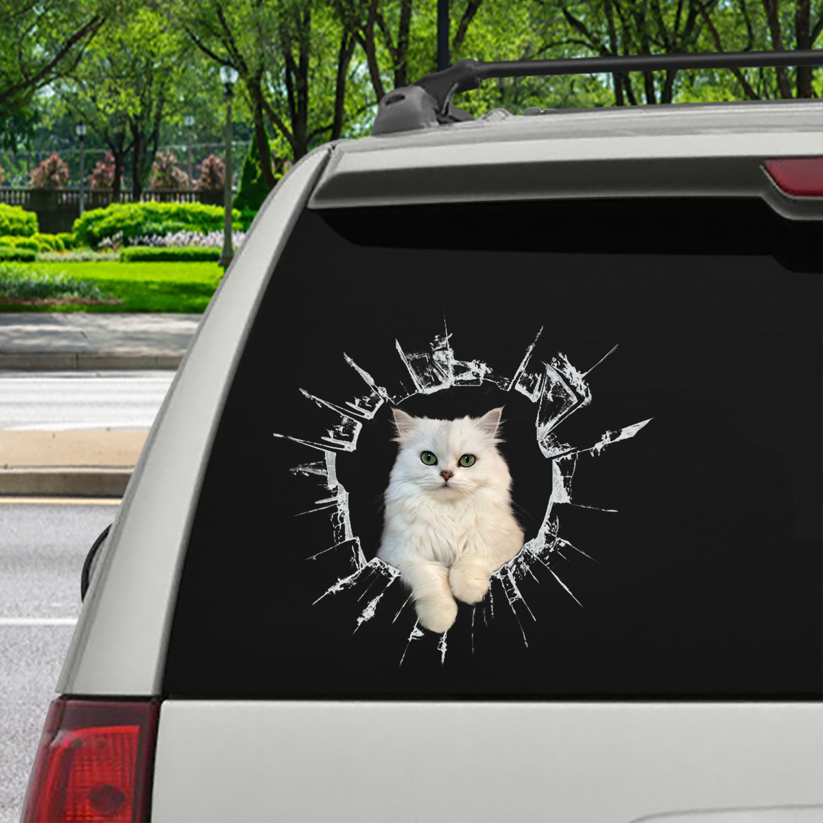 Entrez - Il est temps de faire du shopping - Autocollant de voiture chat chinchilla persan V1