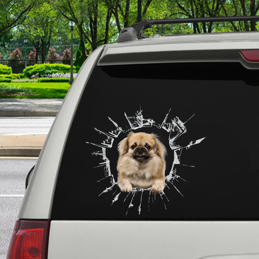 Get In - It's Time For Shopping - Tibetan Spaniel Car/ Door/ Fridge/ Laptop Sticker V1