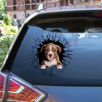 Get In - It's Time For Shopping - American Pit Bull Terrier Car/ Door/ Fridge/ Laptop Sticker V1