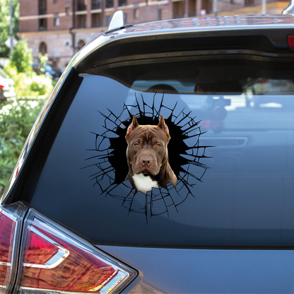 Get In - It's Time For Shopping - American Pit Bull Terrier Car/ Door/ Fridge/ Laptop Sticker V4
