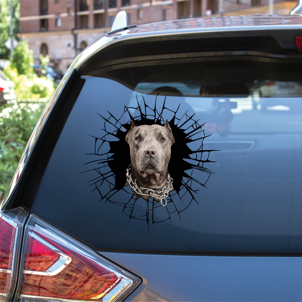 Get In - It's Time For Shopping - American Pit Bull Terrier Car/ Door/ Fridge/ Laptop Sticker V5