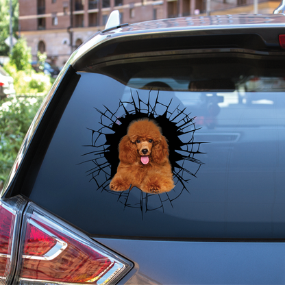 Get In - It's Time For Shopping - Poodle Car/ Door/ Fridge/ Laptop Sticker V5