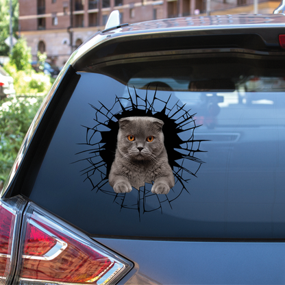 Get In - It's Time For Shopping - Scottish Fold Cat Car/ Door/ Fridge/ Laptop Sticker V1