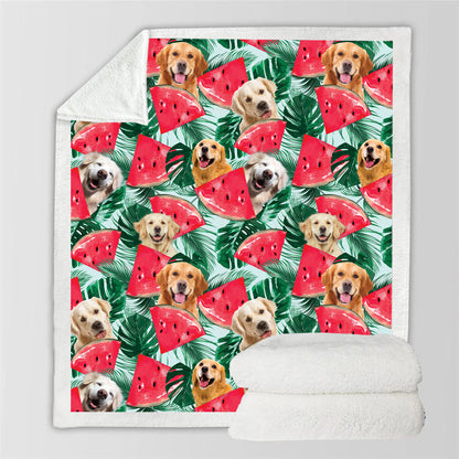 Golden Retriever - Bunte Decke V1