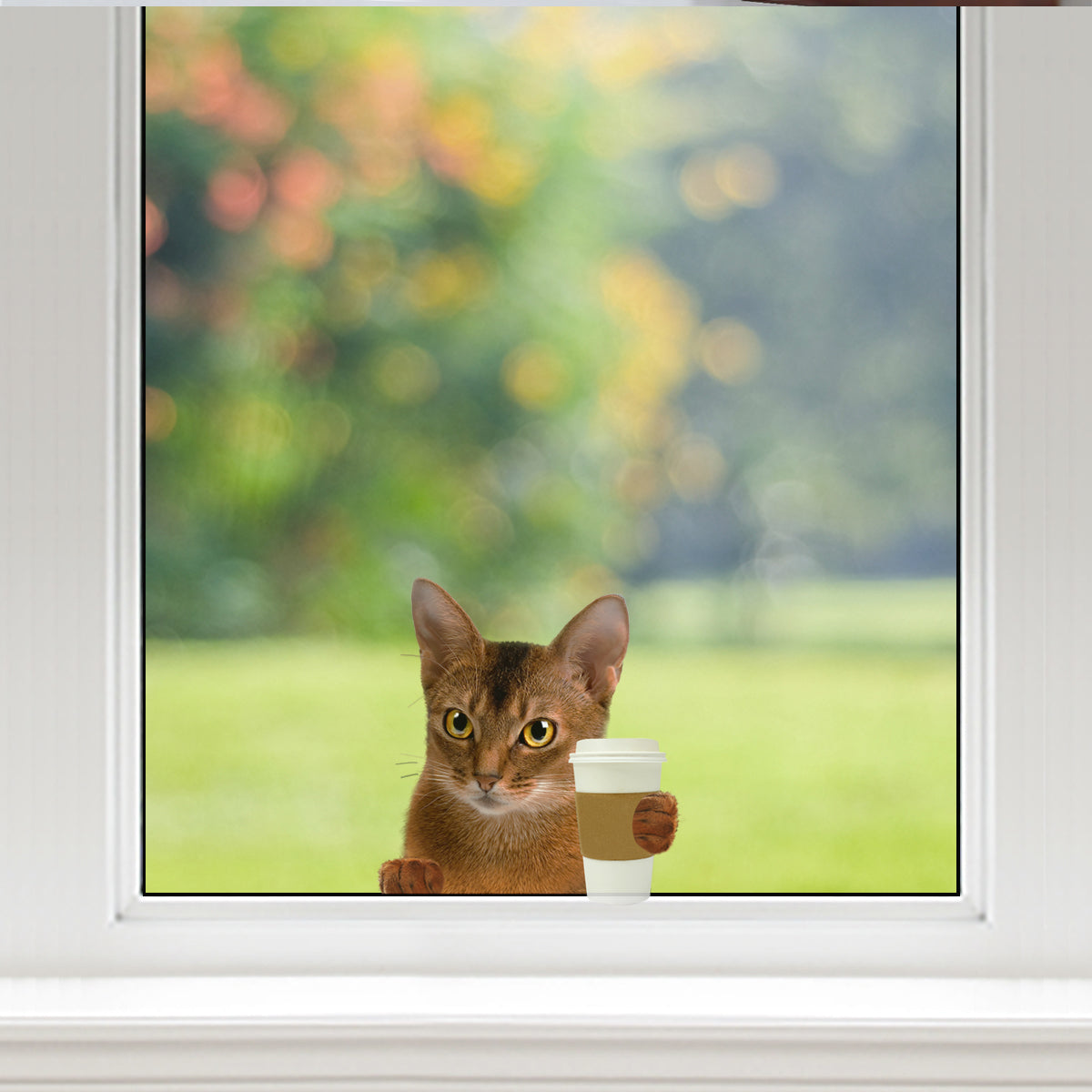 Guten Morgen – Abessinische Katze Aufkleber für Auto/Tür/Kühlschrank/Laptop V1