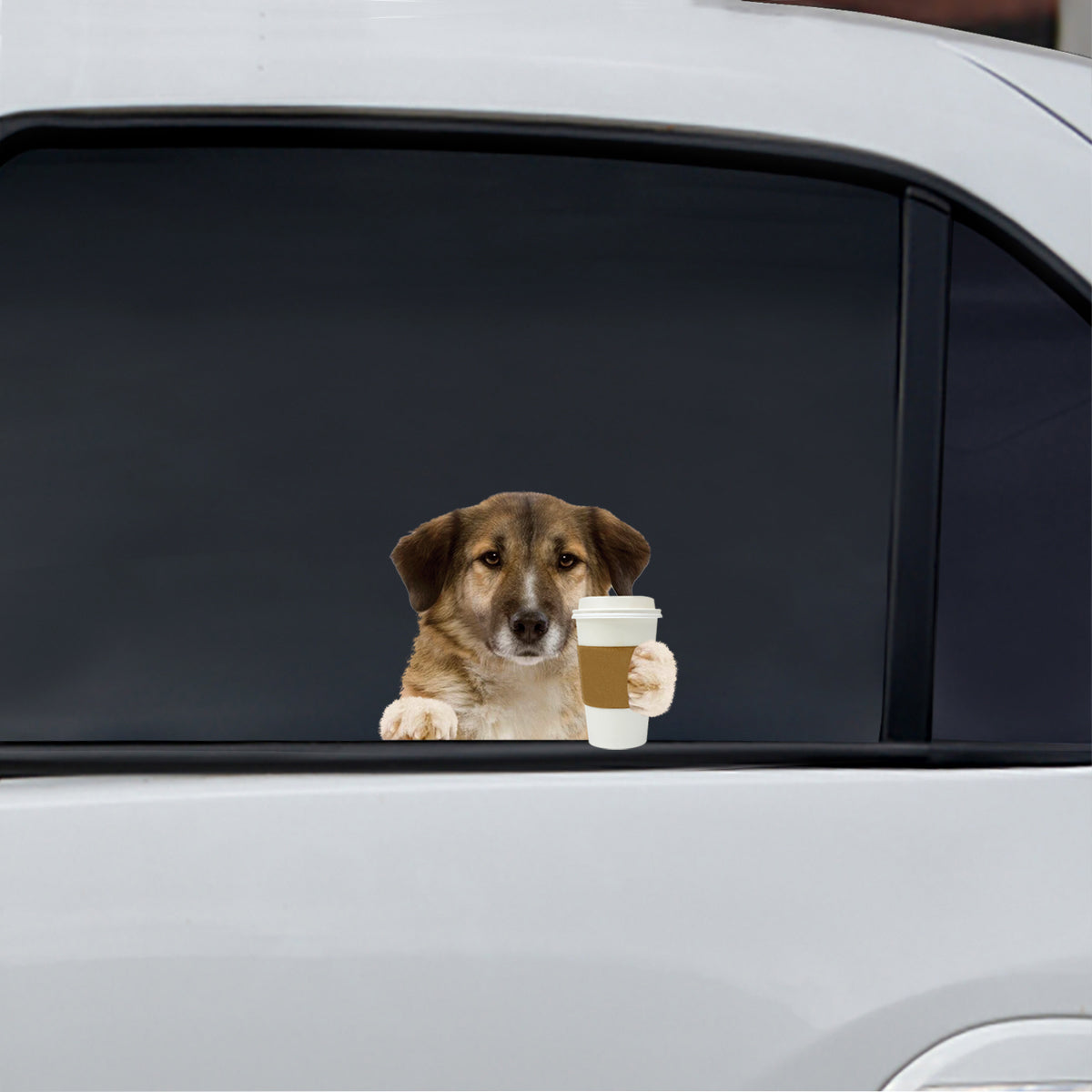 Good Morning - Aidi Car/ Door/ Fridge/ Laptop Sticker V1