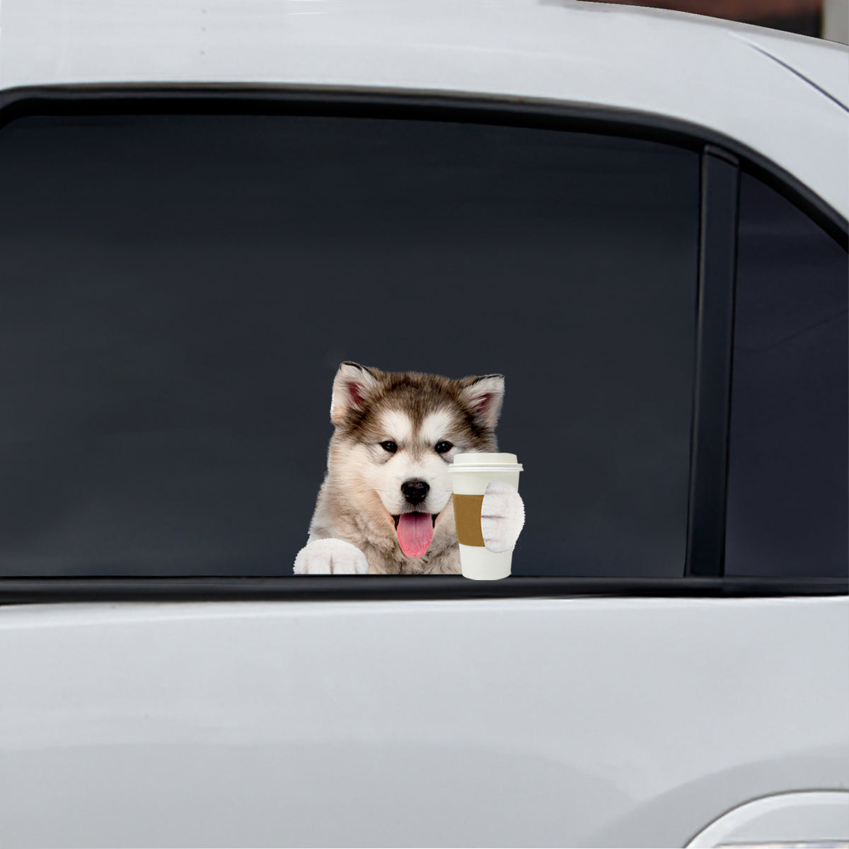 Bonjour - Autocollant de voiture/porte/réfrigérateur/ordinateur portable Malamute d’Alaska V1