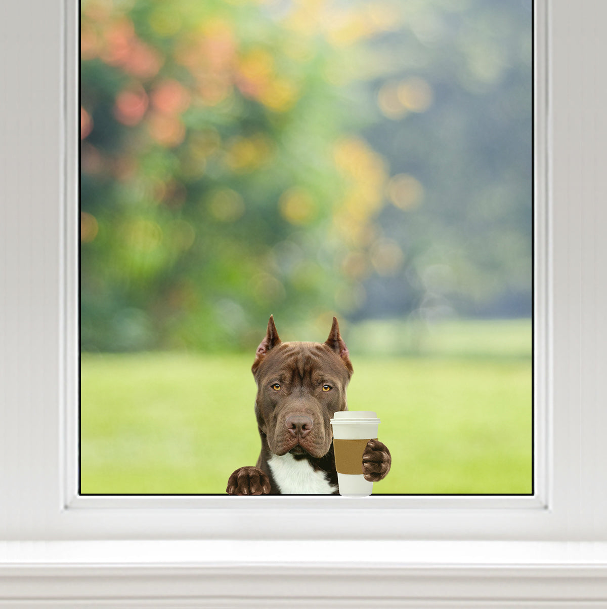 Bonjour - American Pit Bull Terrier Voiture / Porte / Réfrigérateur / Autocollant pour ordinateur portable V1