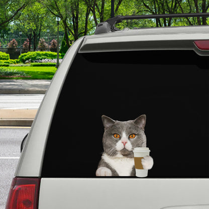 Bonjour - British Shorthair Cat Car/ Porte/ Réfrigérateur/ Autocollant pour ordinateur portable V2