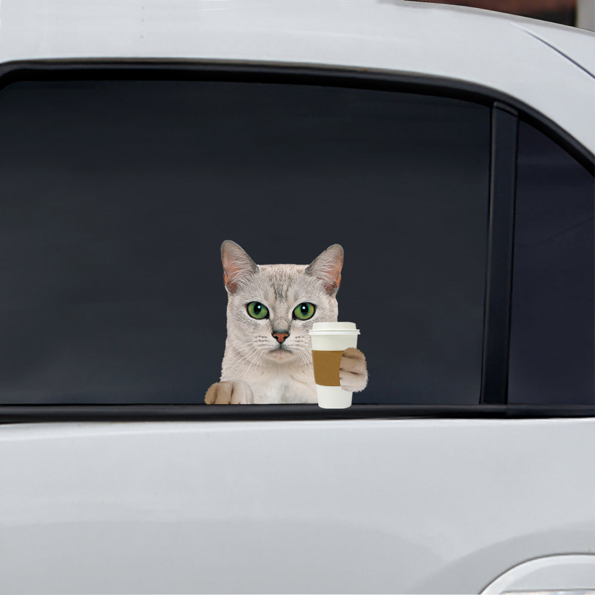 Good Morning - Burmilla Cat Car/ Door/ Fridge/ Laptop Sticker V1