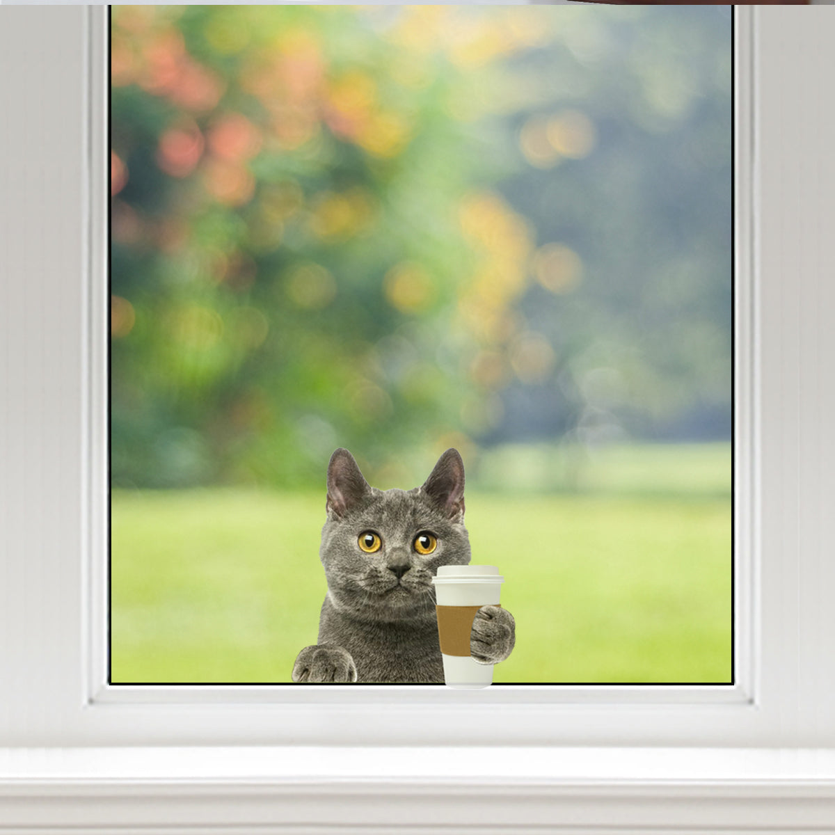 Guten Morgen – Chartreux-Katze-Aufkleber für Auto/Tür/Kühlschrank/Laptop V1
