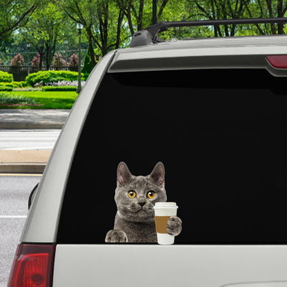 Bonjour - Chartreux Cat Car/ Door/ Fridge/ Laptop Sticker V1