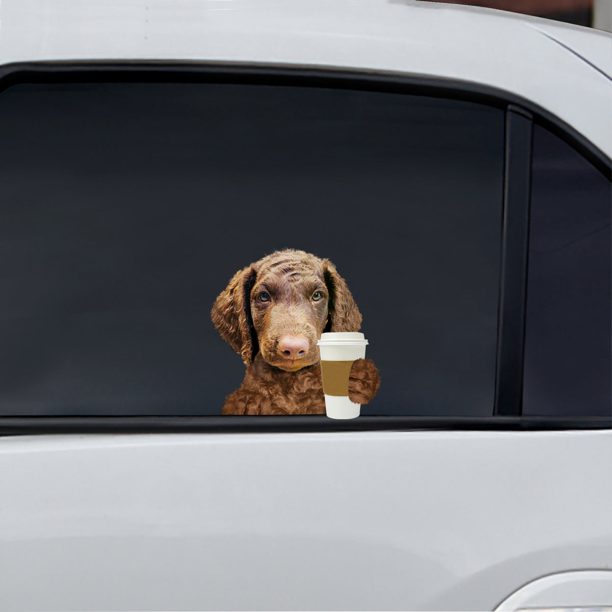 Good Morning - Curly Coated Retriever Car/ Door/ Fridge/ Laptop Sticker V1