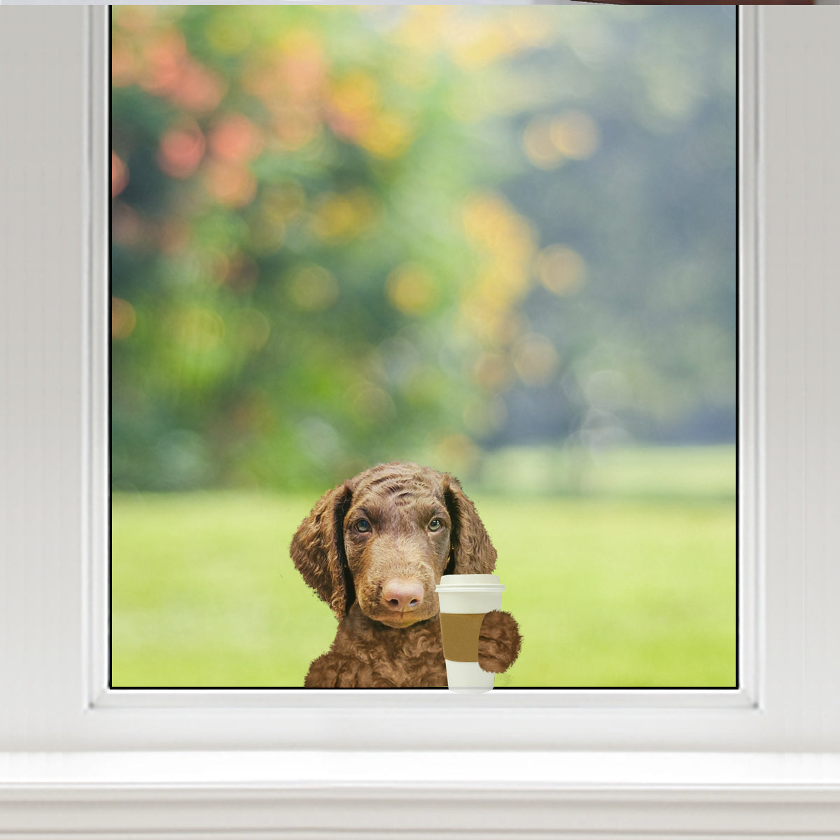 Good Morning - Curly Coated Retriever Car/ Door/ Fridge/ Laptop Sticker V1
