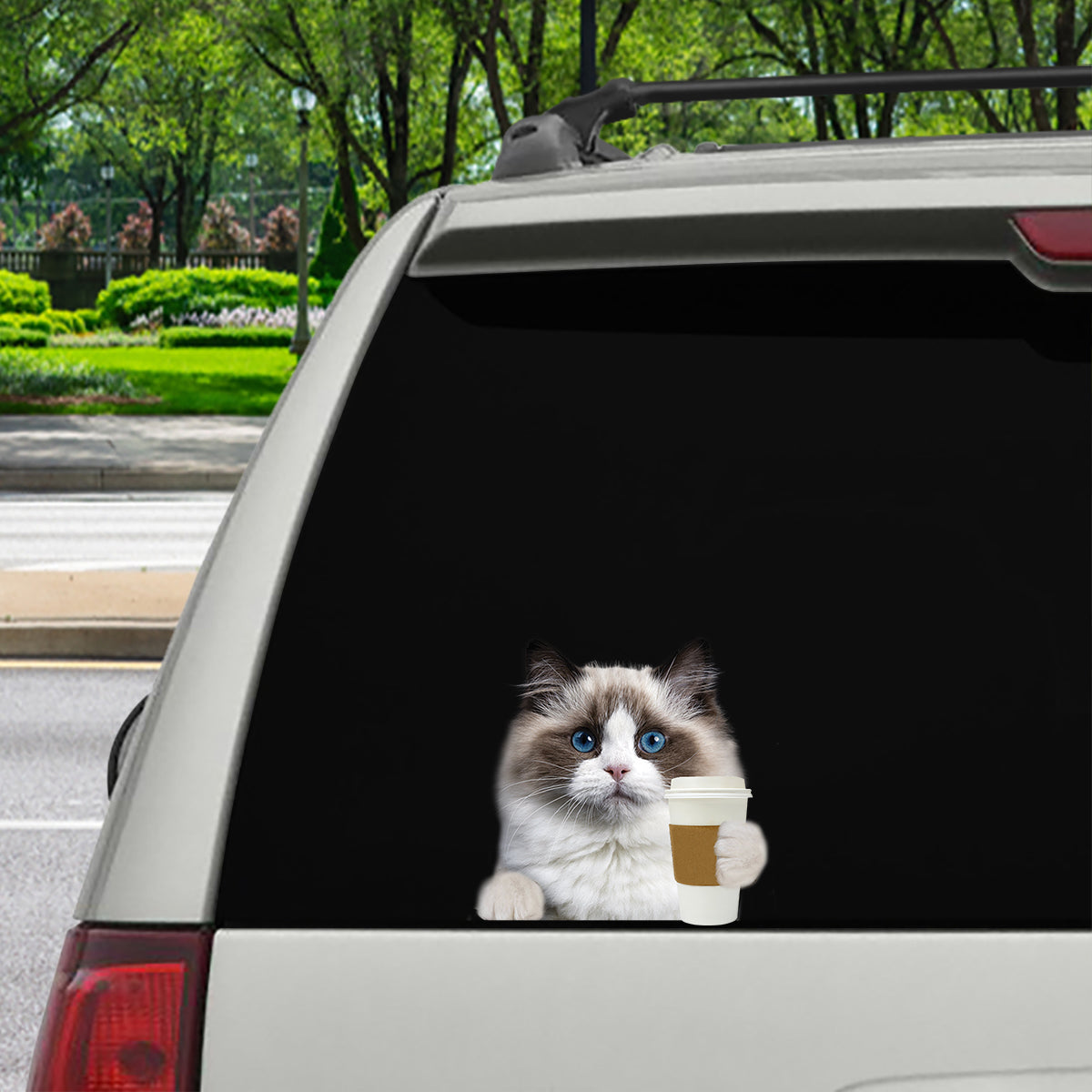Bonjour - Ragdoll Cat Car/ Porte/ Réfrigérateur/ Autocollant pour ordinateur portable V1
