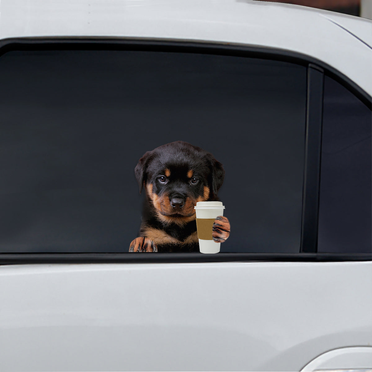 Good Morning - Rottweiler Car/ Door/ Fridge/ Laptop Sticker V1 β Follus